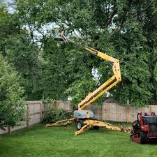 Best Tree Risk Assessment  in Brentwood, CA