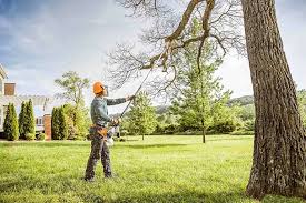 Best Commercial Tree Services  in Brentwood, CA