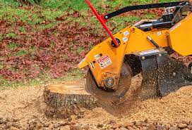 Best Lot and Land Clearing  in Brentwood, CA